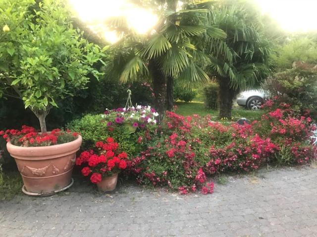 Country House Country Club Ногера Экстерьер фото